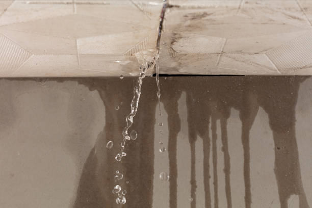 Professional Sewage Cleanup technician working in Brook Park, OH